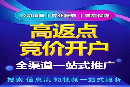 SEM代运营服务公司成功案例解析
